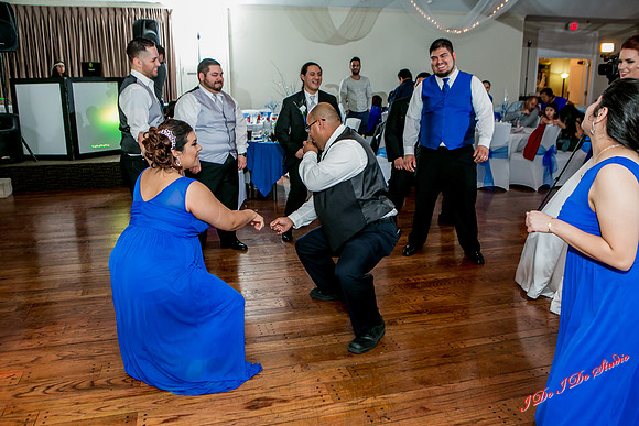 WED-2009